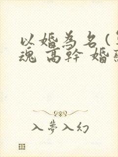 以婚为名 (军魂 高干 婚恋)