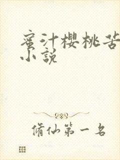 蜜汁樱桃苦咖啡小说