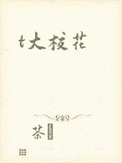t大校花