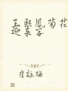 王熙凤菊花门初迎来客