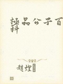 极品公子百度百科
