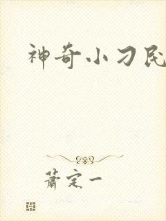 神奇小刁民