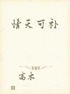 情天可补
