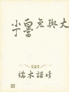 小白兔与大灰狼丁当