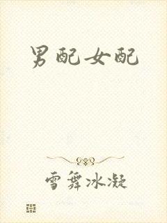 男配女配封面