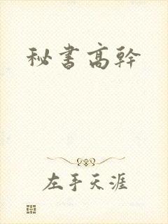 秘书高干封面