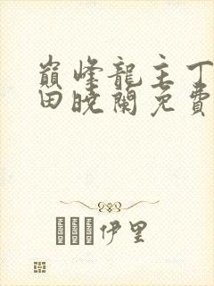 巅峰龙主丁长顺田晓兰免费阅读封面