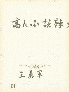 高h小说辣文封面