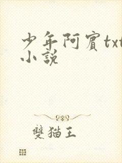 少年阿宾txt小说