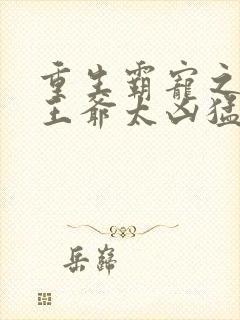 重生霸宠之摄政王爷太凶猛封面