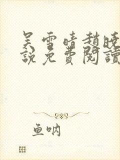 吴雪晴赵晓东小说免费阅读封面