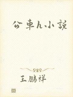 公车h小说