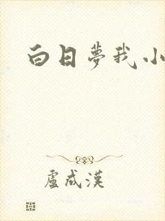 白日梦我小说