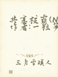 共享校霸(N)作者:一粒笋免费阅读封面