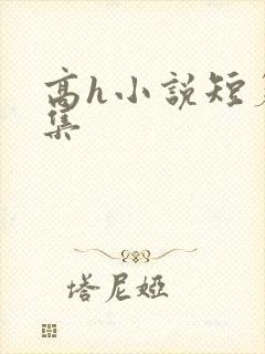 高h小说短篇合集