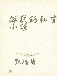 总裁的私有宝贝小说