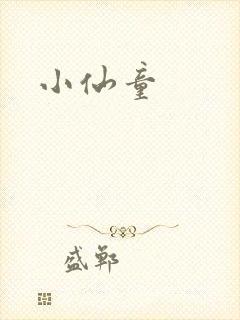 小仙童封面