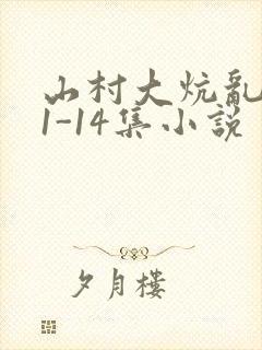 山村大炕乱肉续1-14集小说