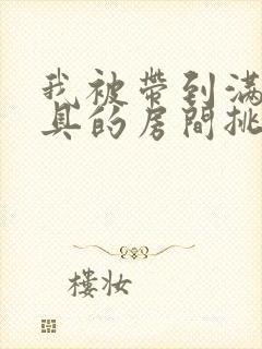 我被带到满是玩具的房间挑调游戏封面