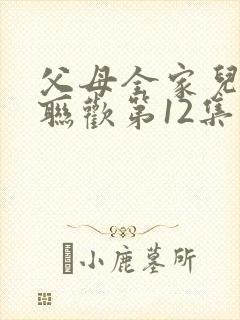 父母全家儿女大联欢第12集封面