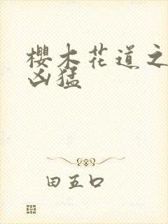 樱木花道之重生凶猛