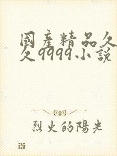 国产精品久久久久9999小说