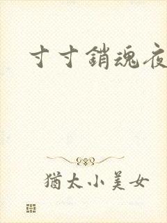 寸寸销魂夜春光