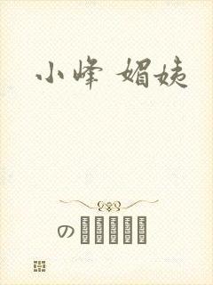 小峰 媚姨封面