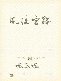 风流官路