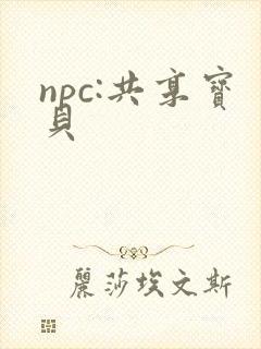 npc:共享宝贝