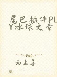 尾巴插件PLAY冰球文章封面