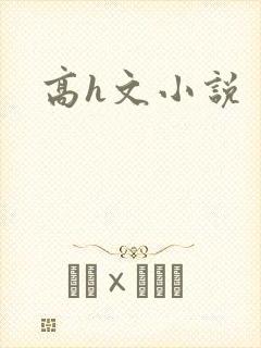 高h文小说封面