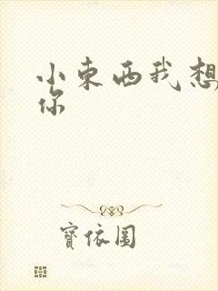 小东西我想弄坏你