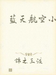 蓝天航空小说