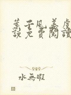 叶子风姜虞雪小说免费阅读