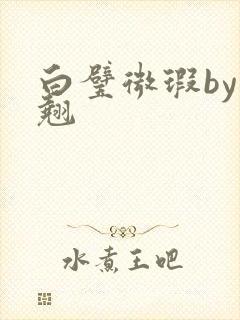 白璧微瑕by连翘