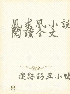 凤求凰小说免费阅读全文