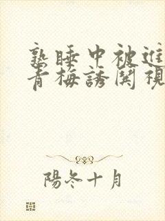 熟睡中被进了H青梅诱哄视频