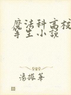 魔法科高校的劣等生小说封面