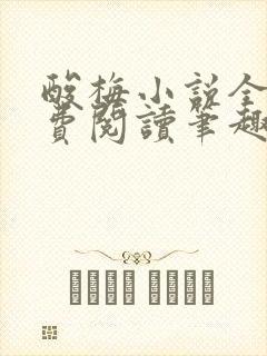 酸梅小说全文免费阅读笔趣阁封面