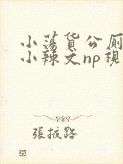 小荡货公厕h文小辣文np视频封面