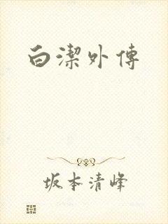白洁外传