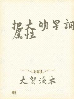 把大明星调成专属性