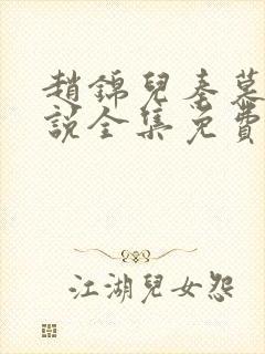 赵锦儿秦慕修小说全集免费封面