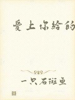 爱上你给的痛封面