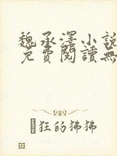 魏承泽小说全文免费阅读无弹窗笔趣封面