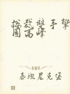 总裁双手攀上两团高峰封面