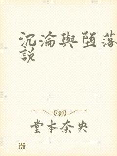 沉沦与堕落的小说封面