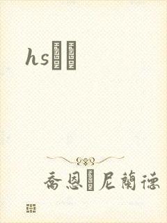 hsС˵封面