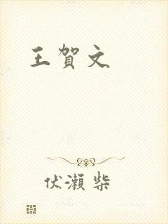王贺文封面